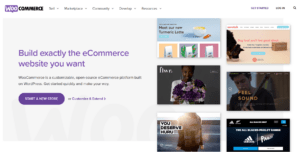 How to Create an Online Store