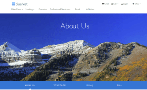 Bluehost: The Best Global Hosting Provider about