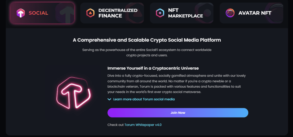 Decentralized Social Metaverse Torum