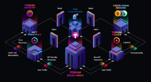 Social Metaverse Torum