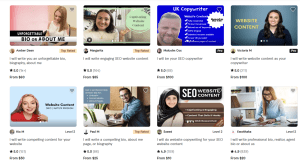How Much Money SEO Content Writers Earn fiverr